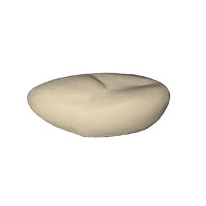Tafelente (Aythya ferina)
