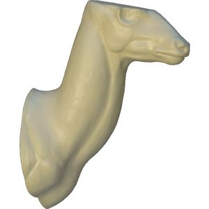 Buschbock (Tragelaphus scriptus)