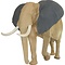 African savanna elephant (Loxodonta africana)