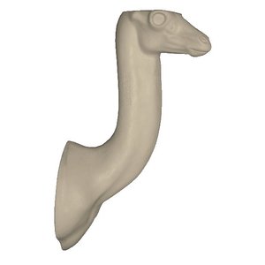 Gerenuk oder Giraffe gazelle (Litocranius walleri)