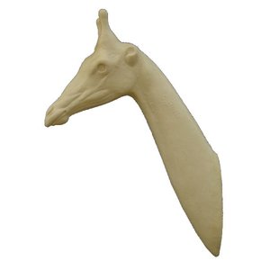 Nord-giraffe (Giraffa camelopardalis)