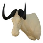 Weißschwanzgnu (Art. AF-WSGx-x)