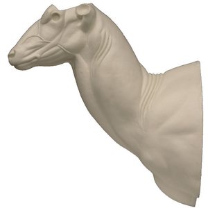 Grote koedoe (Tragelaphus strepsiceros)