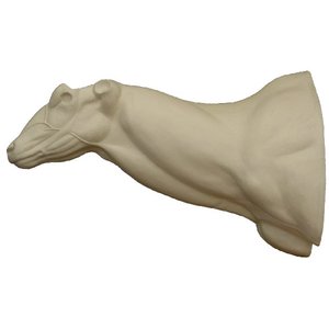 Großer Kudu (Tragelaphus strepsiceros)