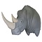 White rhinoceros (Ceratotherium simum)