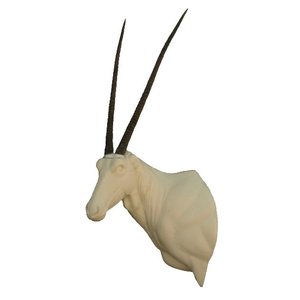 Oryx (Oryx gazella)