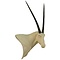 Oryxantilope (Oryx gazella)