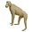 Cape baboon (Art. G-AF-PA5-L)