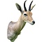 Mountain reedbuck (Redunca fulvorufula)