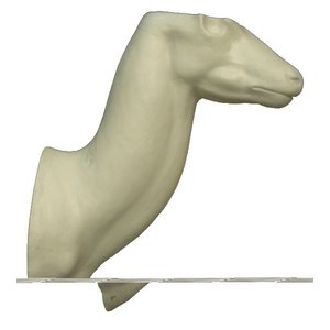 Bohor oder Senegal-Riedbock (Redunca redunca)