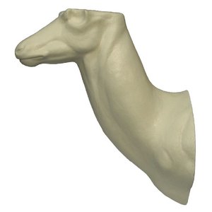 Bohor oder Senegal-Riedbock (Redunca redunca)