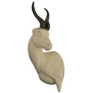 Springbock (Antidorcas marsupialis)