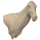 Steppenzebra (Art. TdV-AF-WP-Z6-R)
