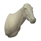 Steppenzebra (Art. AF-Z2-R)