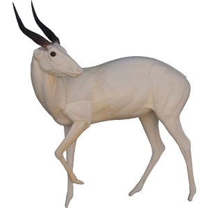 Buschbock (Tragelaphus scriptus)
