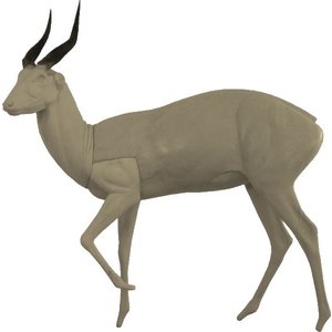 Buschbock (Tragelaphus scriptus)