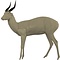 Bushbuck (Tragelaphus scriptus)