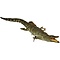 Nilkrokodil (Crocodylus niloticus)