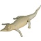 Nilkrokodil (Crocodylus niloticus)