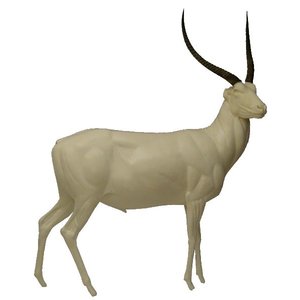 Waterbok (Kobus ellipsiprymnus)