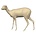 Steenbokantilope (Art. G-AF-ST3-L)
