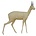 Steenbokantilope (Art. G-AF-ST2-R)
