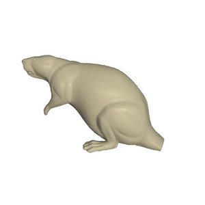 Biber (Castor fiber / canadensis)