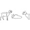 Elch (Alces alces)