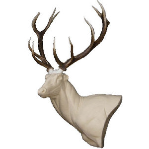 Edelhert (Cervus elaphus)