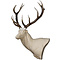 Red Deer (Cervus elaphus)