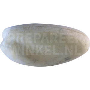 Harlekin-Ente (Histrionicus histrionicus)