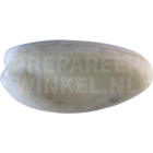 Witwenpfeifgans