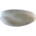 Witwenpfeifgans