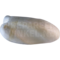 Common guillemot (Uria aalge)
