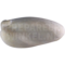 Middelste zaagbek (Mergus serrator)