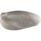 Mittelsäger (Mergus Serrator)