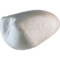 Argusfasan oder Arguspfau (Argusianus argus)