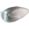 Pfeifschwan (Cygnus columbianus)