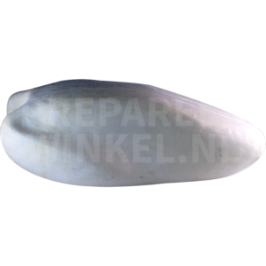 Wanderalbatros (Diomedea exulans)