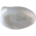 Langschnabelsittich