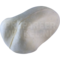 Langschnabelsittich (Enicognathus leptorhynchus)