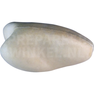 Briluil (Pulsatrix perspicillata)