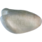 Turkse tortel (Streptopelia decaocto)