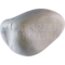 Rock partridge (Alectoris graeca)