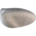 White cheeked turaco