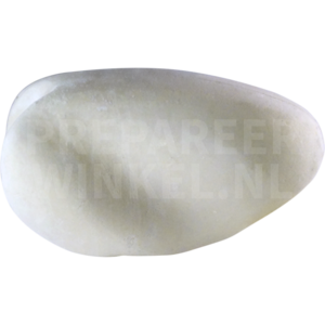 Silberreiher (Ardea alba)