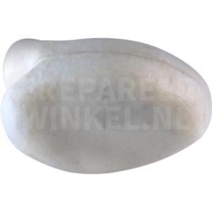 Grijskopparkiet (Psittacula himalayana)