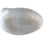 Weißstirnamazone