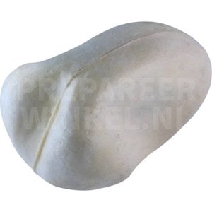 Teichralle oder Teichhuhn (Gallinula chloropus)
