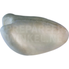 Palmtaube oder Senegaltaube